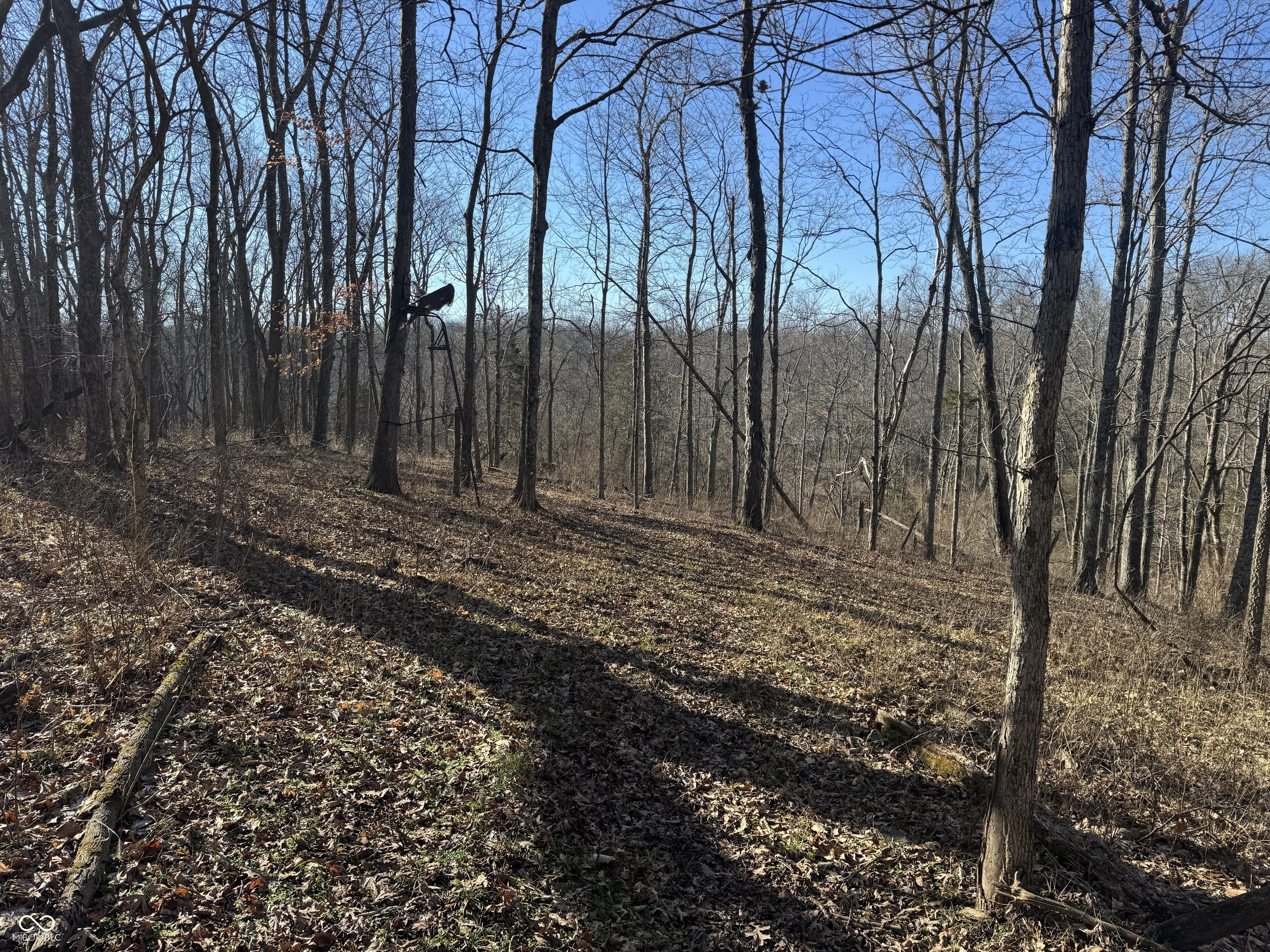 0 Jack Allen Road Vevay, IN 47043 - Photo 55 of 61