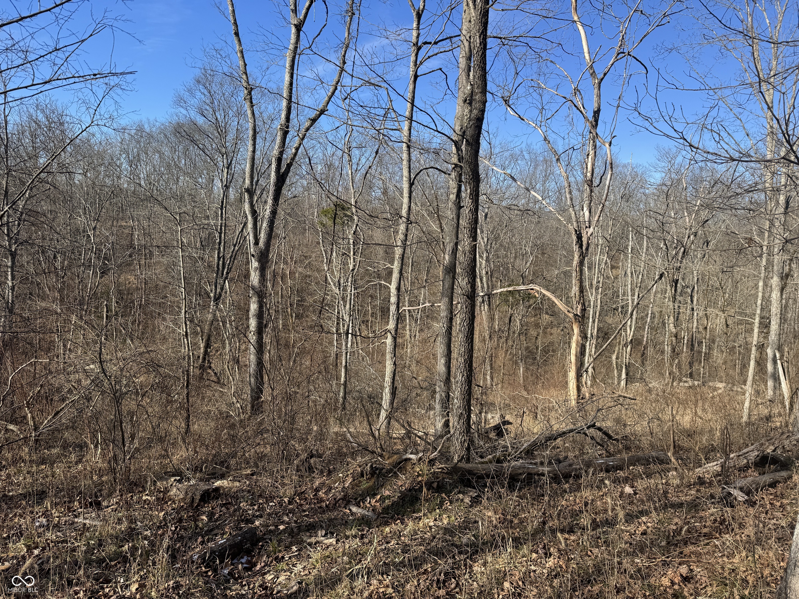 0 Jack Allen Road Vevay, IN 47043 - Photo 58 of 61