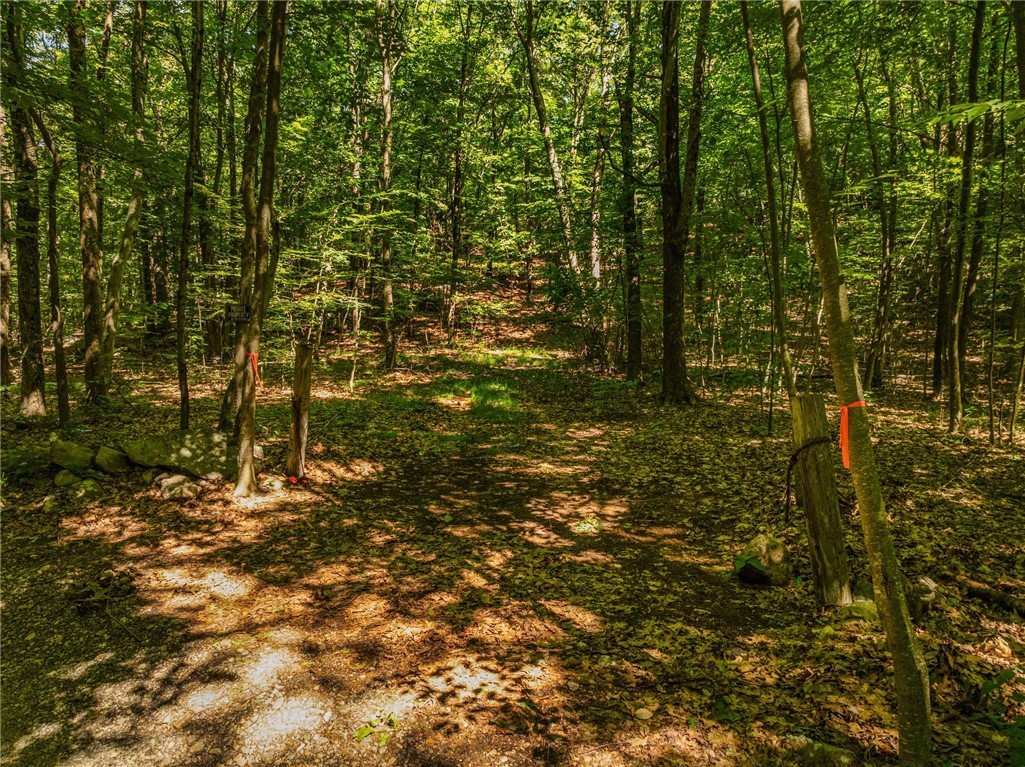 70 Old Staples Road Cumberland, RI 02864 - Photo 4 of 7