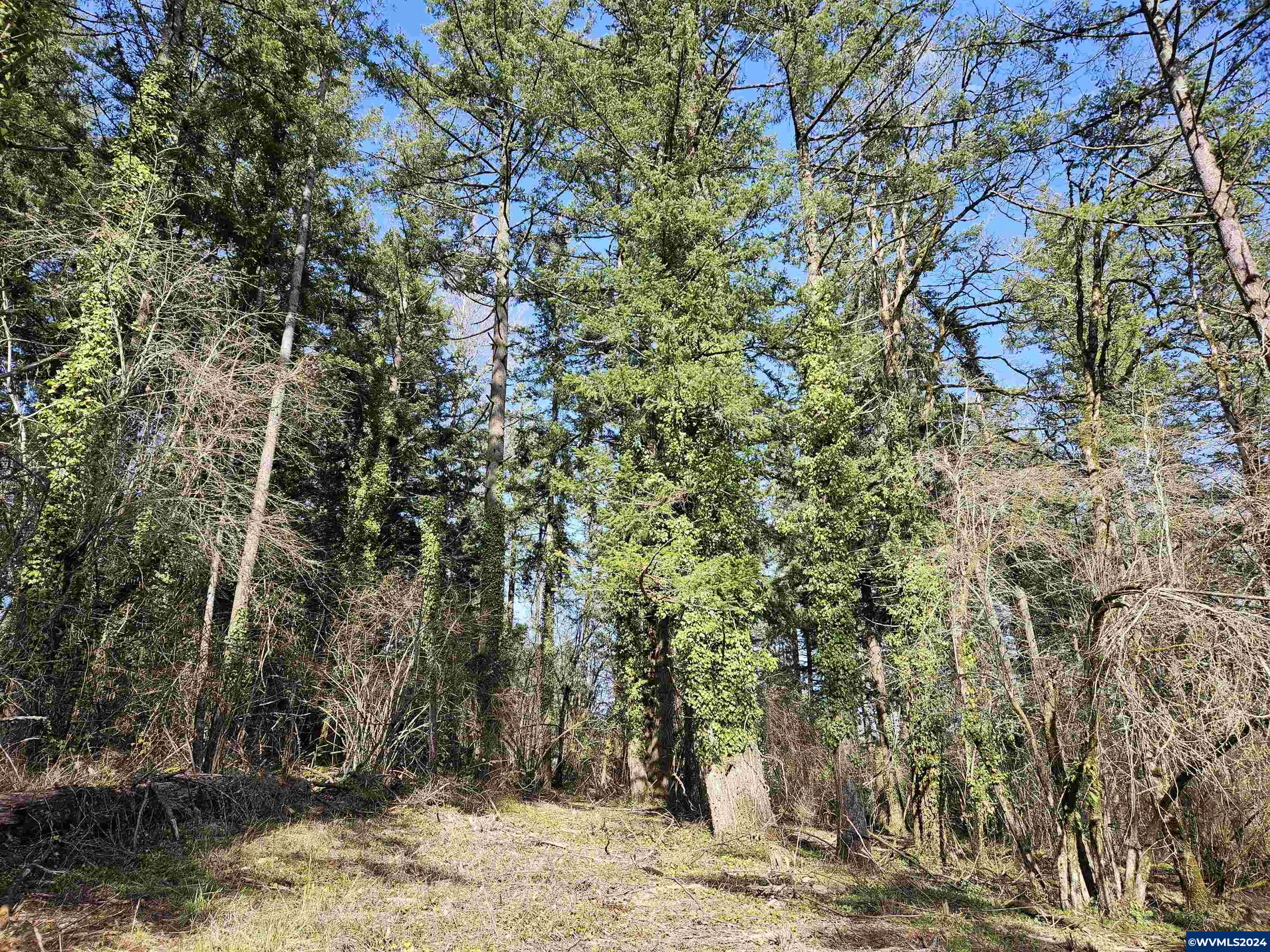 2700 Northwest Miller Lane Albany, OR 97321 - Photo 2 of 10