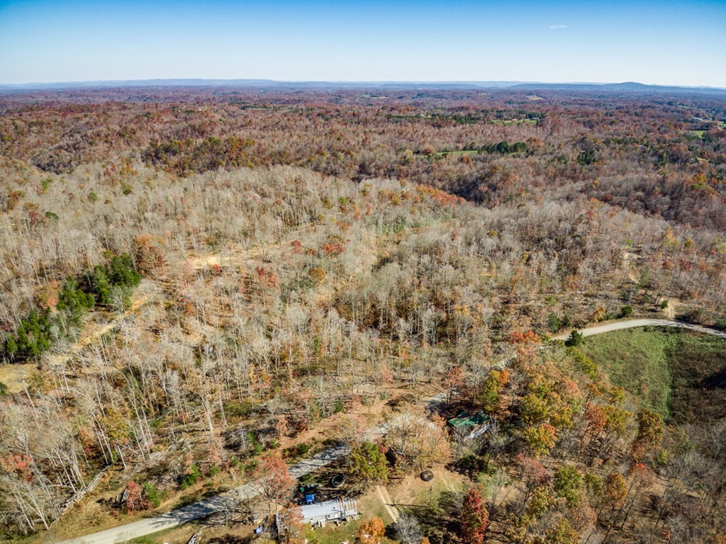 15 Back Bone Road Sparta, TN 38583 - Photo 6 of 41 an aerial view of residential house and green space