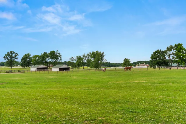 $3,990,000 | 14091 Scio Church Road, Chelsea, MI 48118