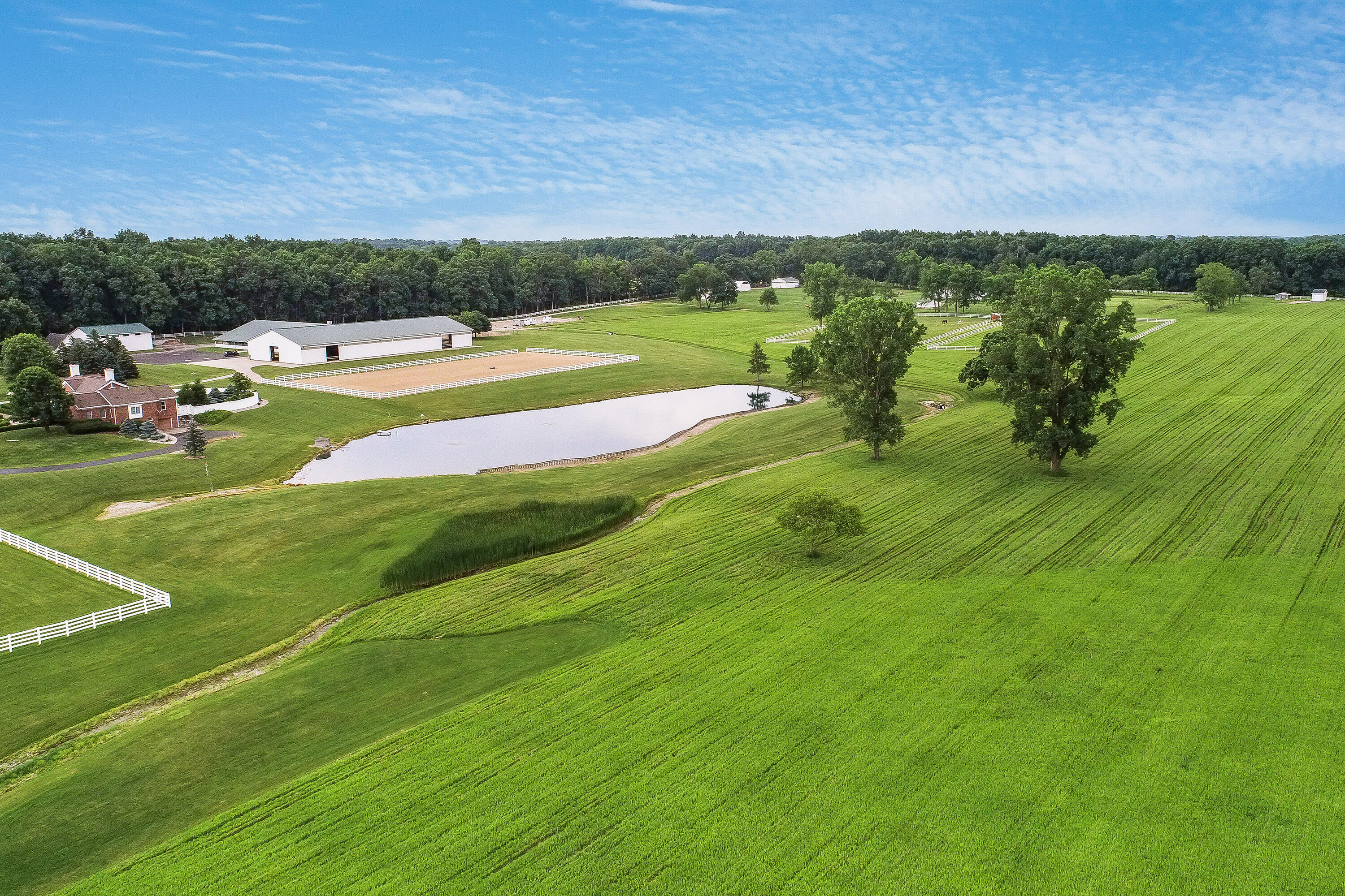 14091 Scio Church Road Chelsea, MI 48118 - Photo 70 of 79 Scio_Church_Drone35