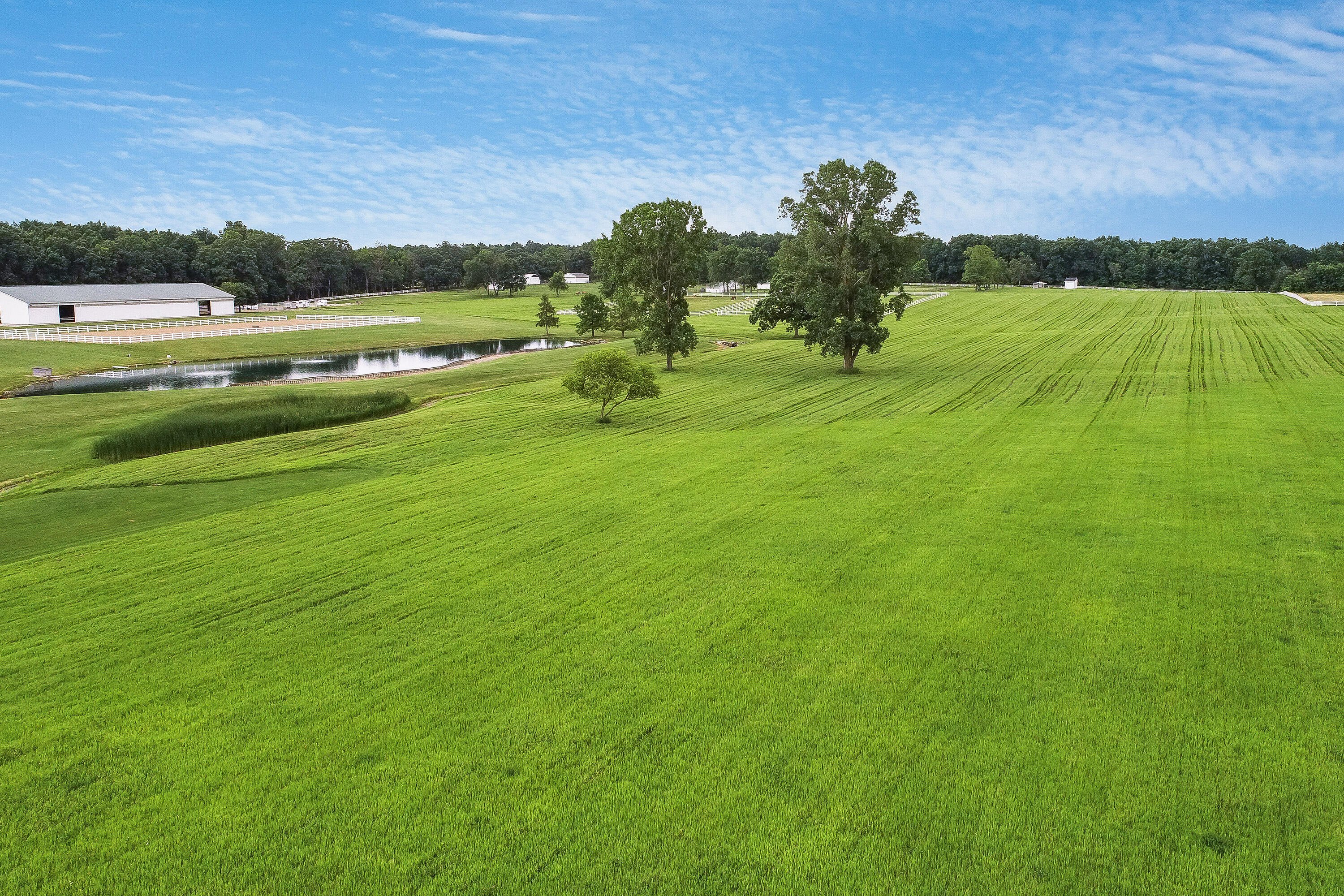 14091 Scio Church Road Chelsea, MI 48118 - Photo 71 of 79 Scio_Church_Drone33