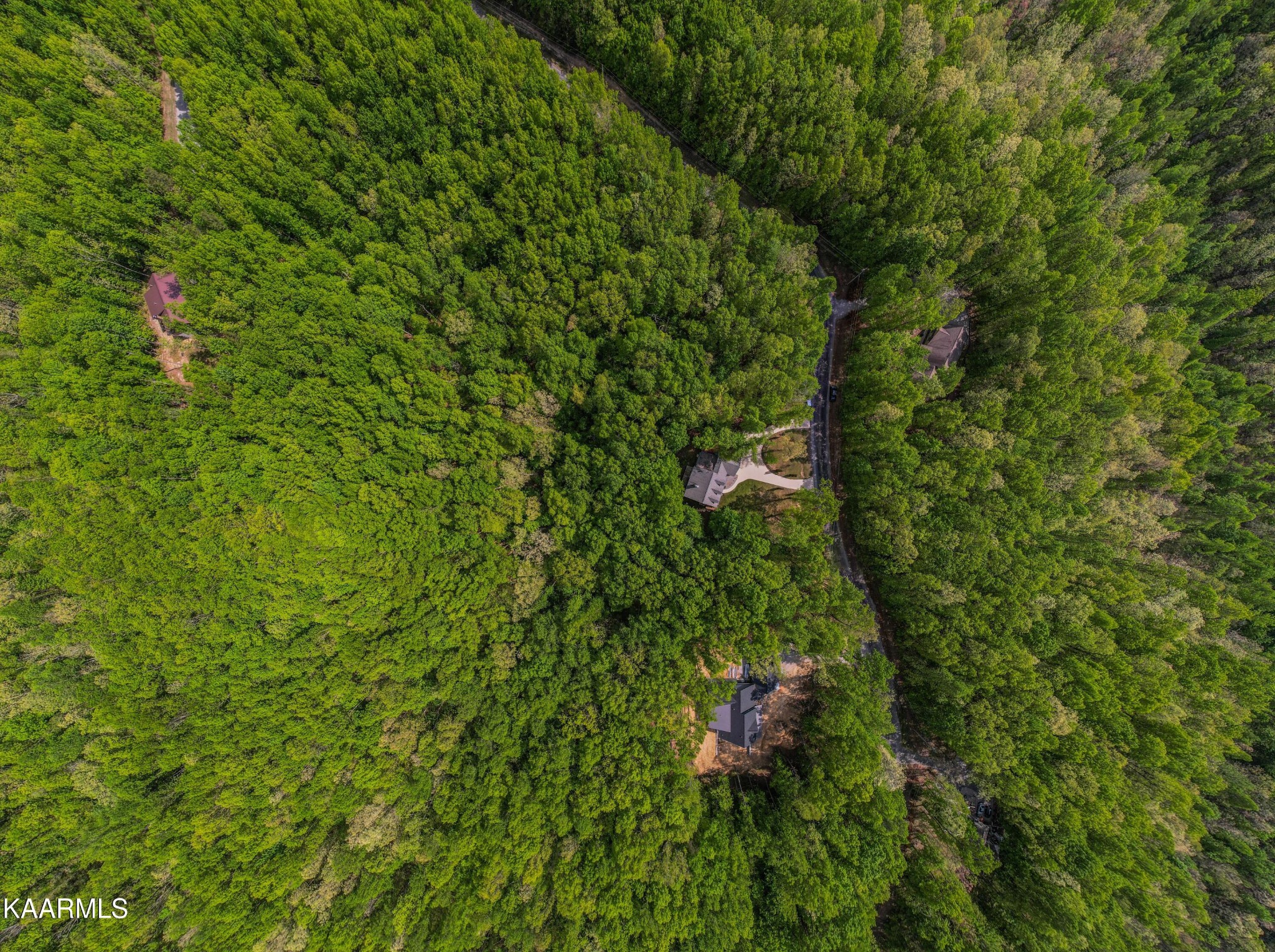 469 E Cove Monterey, TN 38574 - Photo 34 of 34 a view of a forest