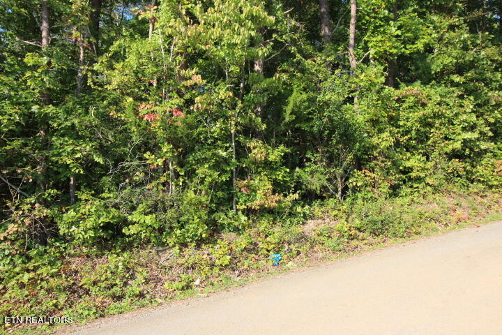 Rudd Hollow Road Townsend, TN 37882 - Photo 4 of 10 Cromwell Rudd Hollow (3)