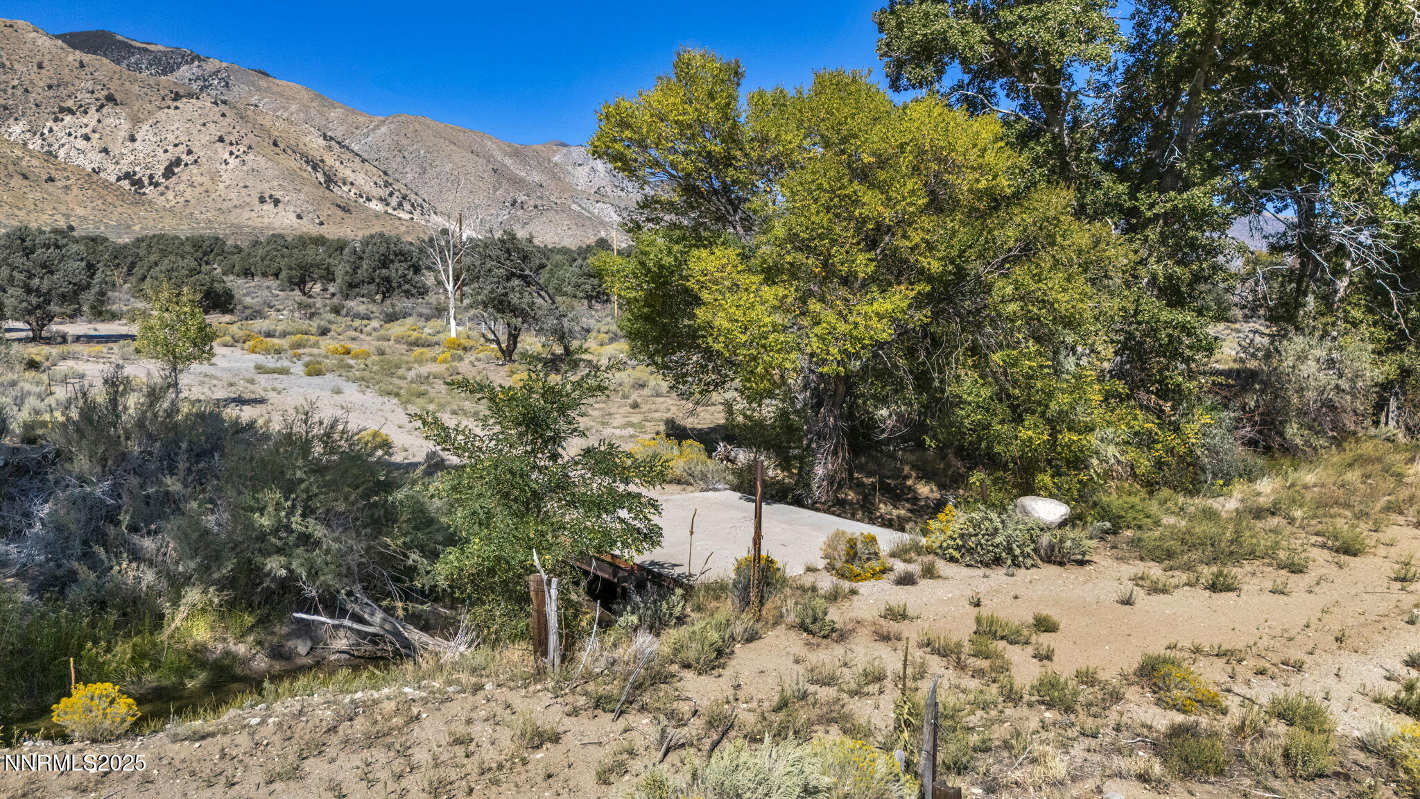 456 Upper Colony Road Smith Valley, NV 89444 - Photo 11 of 15 a view of a bunch of trees and bushes