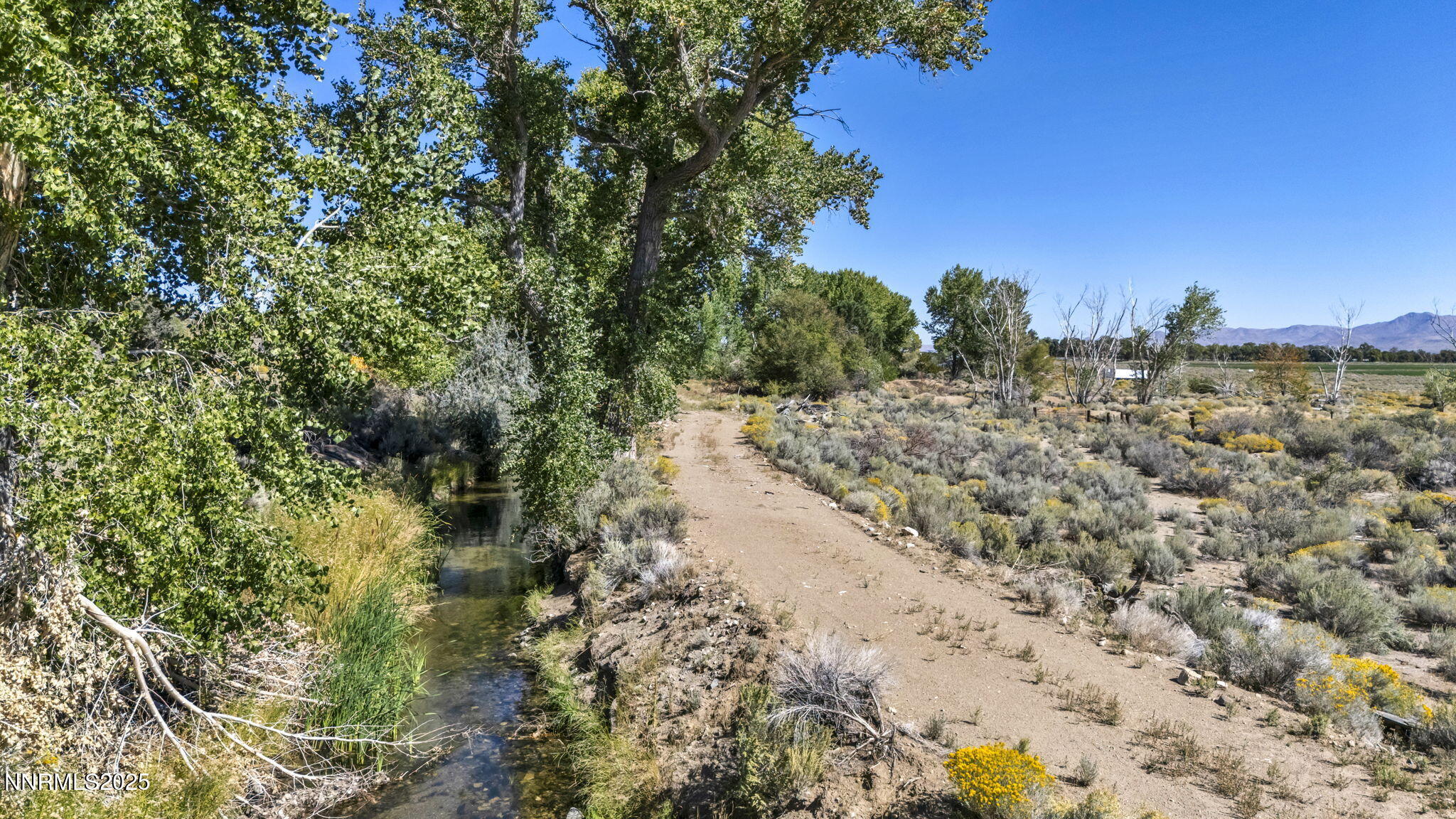 456 Upper Colony Road Smith Valley, NV 89444 - Photo 3 of 15 a view of a yard with a tree