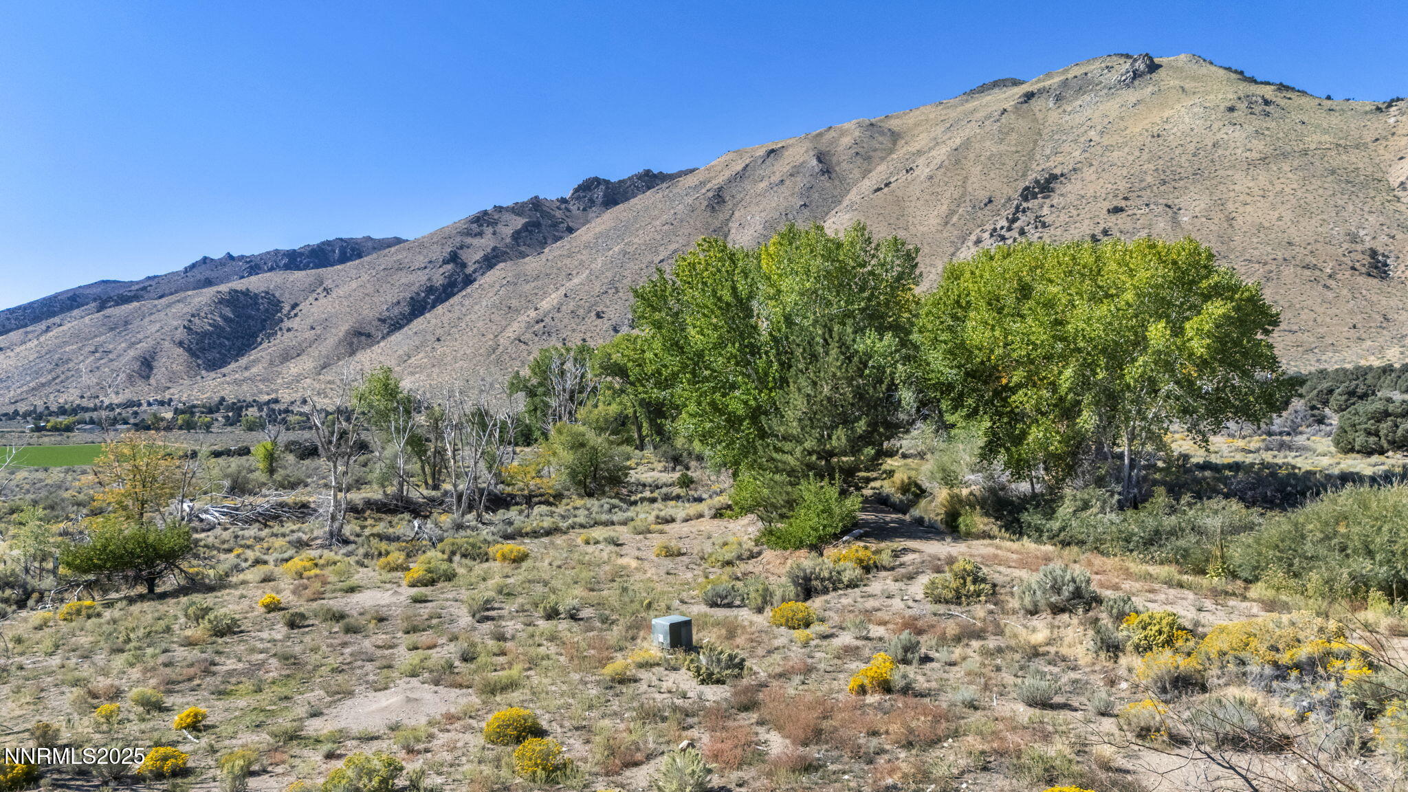 456 Upper Colony Road Smith Valley, NV 89444 - Photo 8 of 15 a view of a large mountain with a mountain in the background