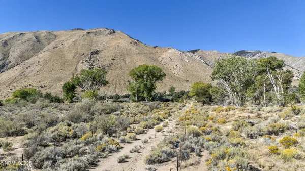 a view of a dry yard with mountains in the background