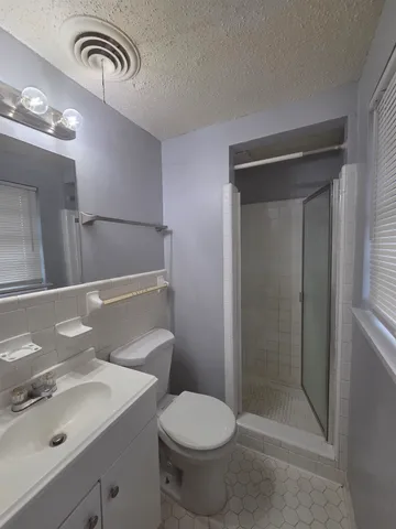 a bathroom with a sink a toilet and shower