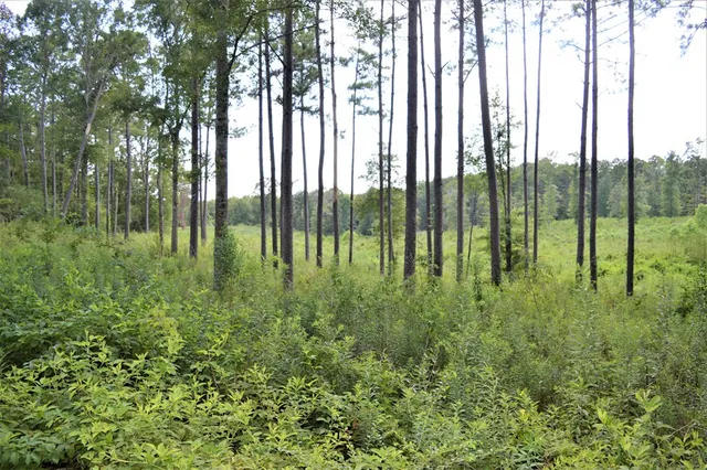 $99,500 | ... Biltmore Lane, McComb, MS 39648