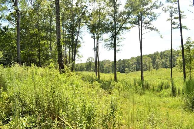 $99,500 | ... Biltmore Lane, McComb, MS 39648