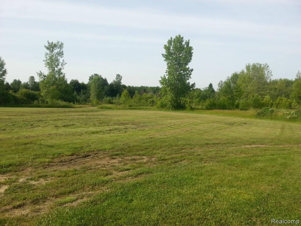 9505 Brandon Road Avoca, MI 48006 - Photo 23 of 45 20150626_085835.jpg