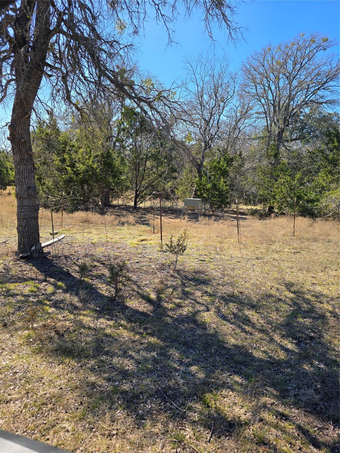 1 County Road 111 Hamilton, TX 76531 - Photo 25 of 32 a view of yard with trees