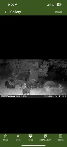 a view of city and mountain