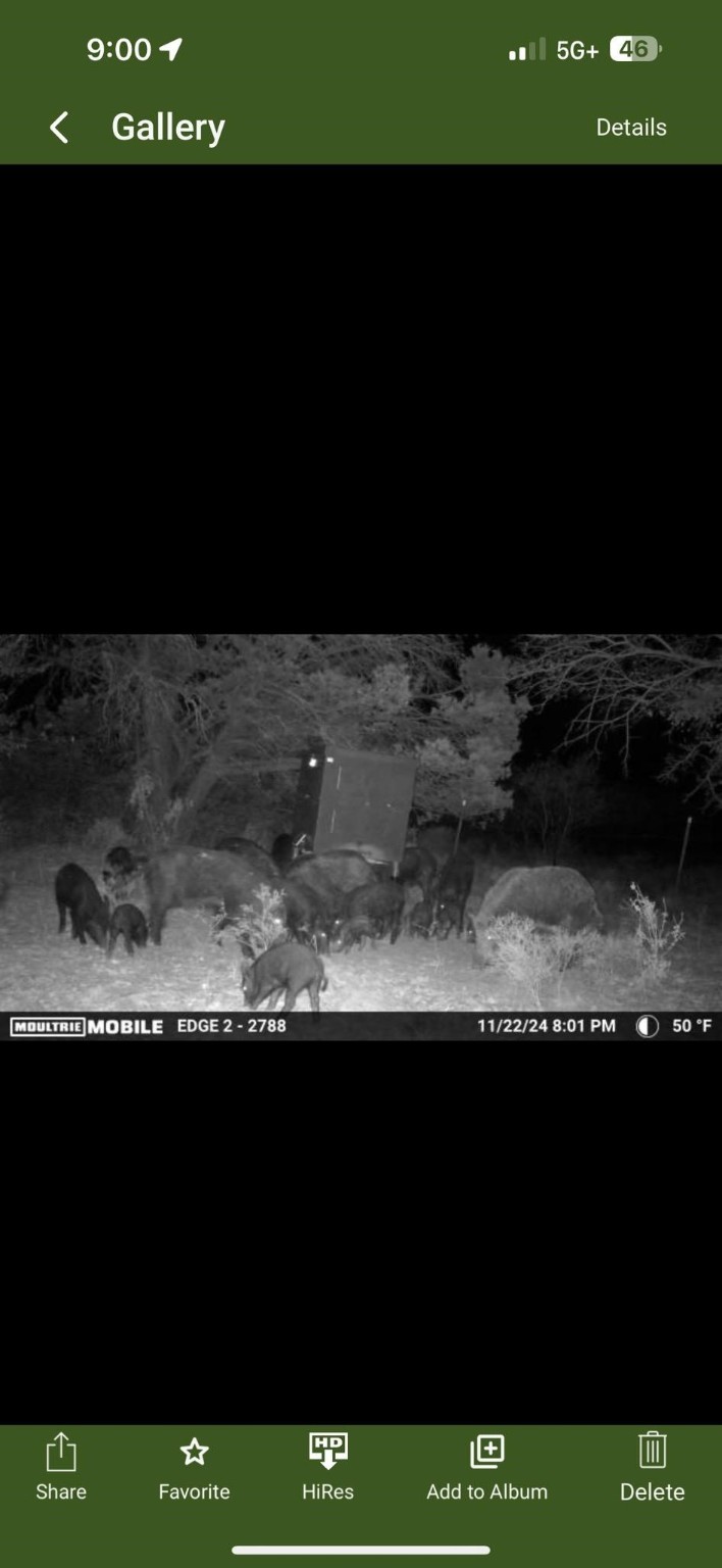 1 County Road 111 Hamilton, TX 76531 - Photo 29 of 32 a black and white photo of a garden