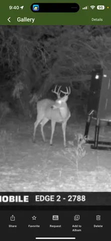 a view of a field with an ocean view