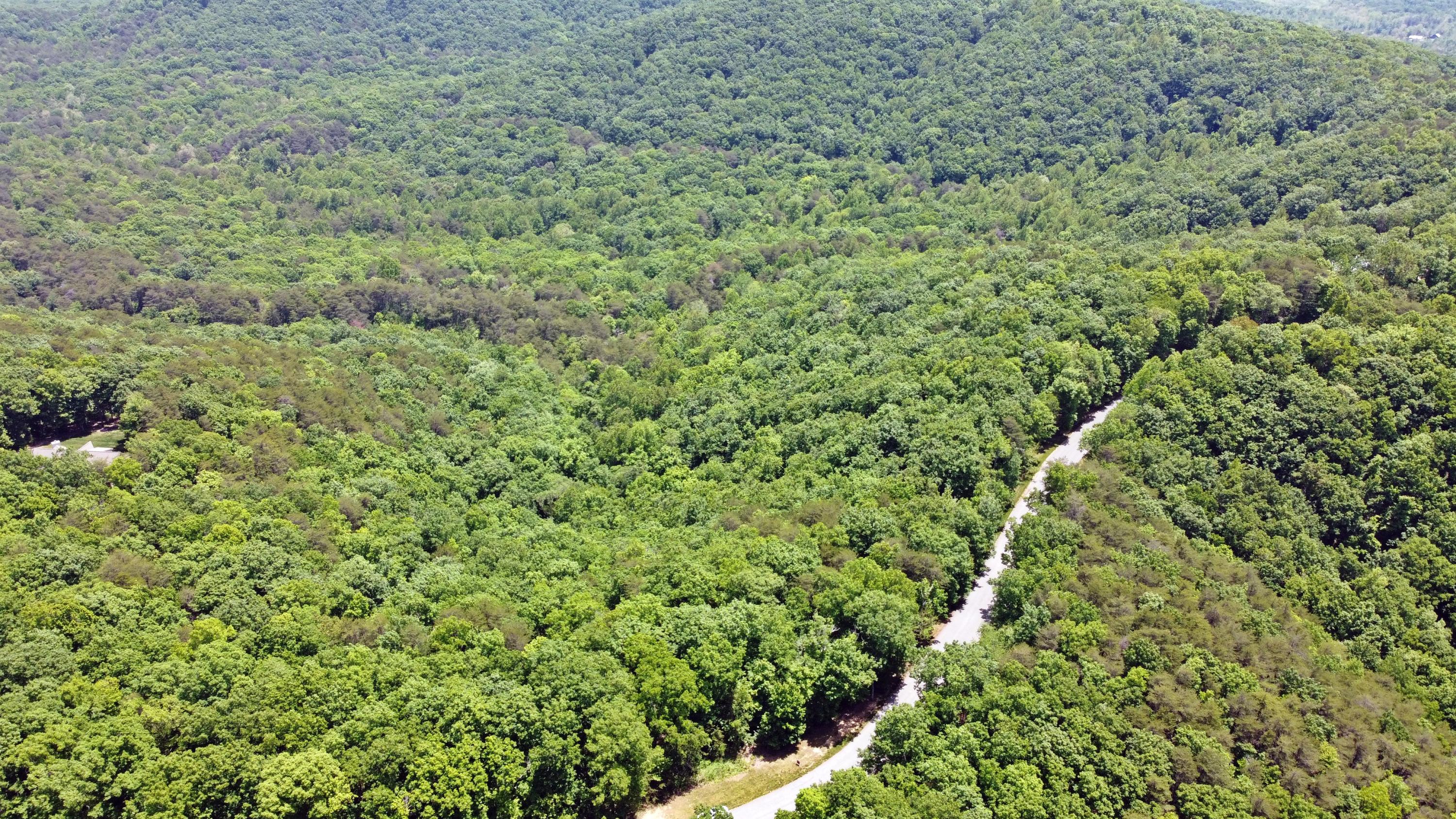 0 North Shivas Crest, Unit 62 Rising Fawn, GA 30738 - Photo 14 of 20 DJI_0727