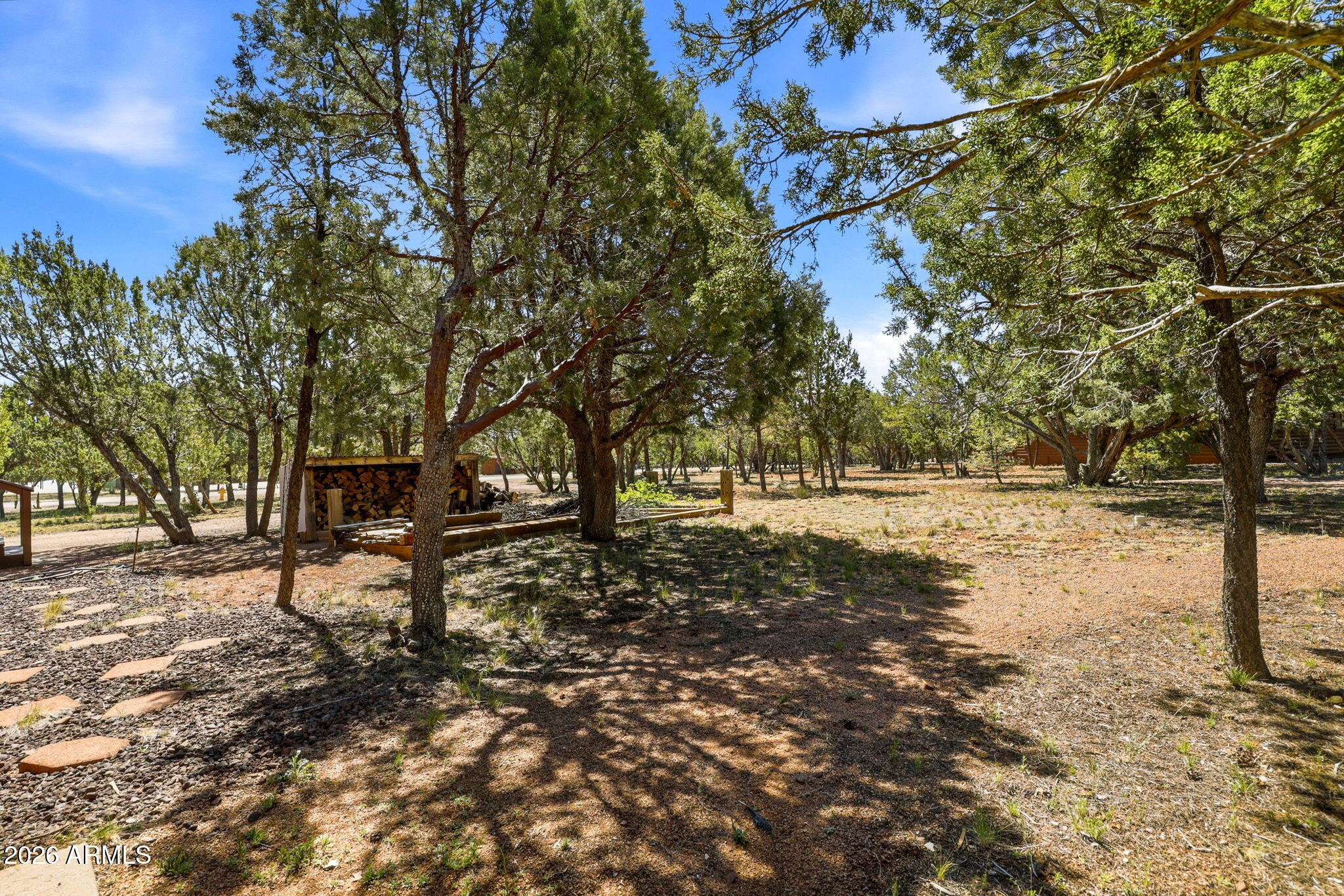 2770 Apollo Circle Overgaard, AZ 85933 - Photo 32 of 58 2770 Apollo Cir