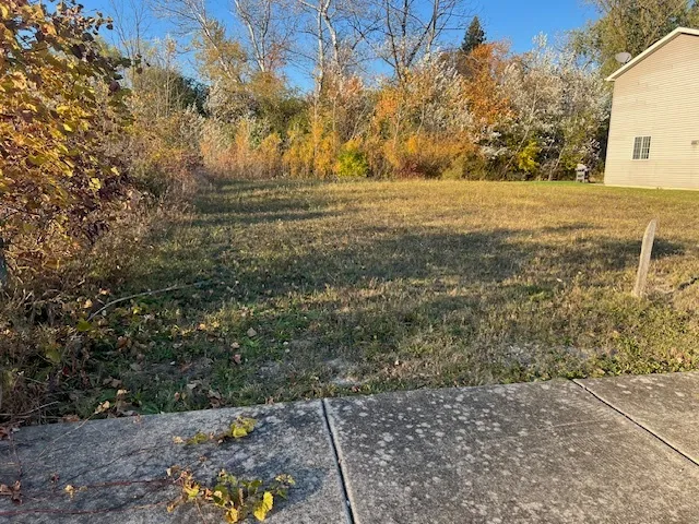 a view of beach and tree