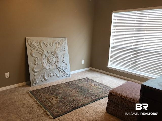 9139 Lake View Drive Fairhope, AL 36532 - Photo 23 of 25