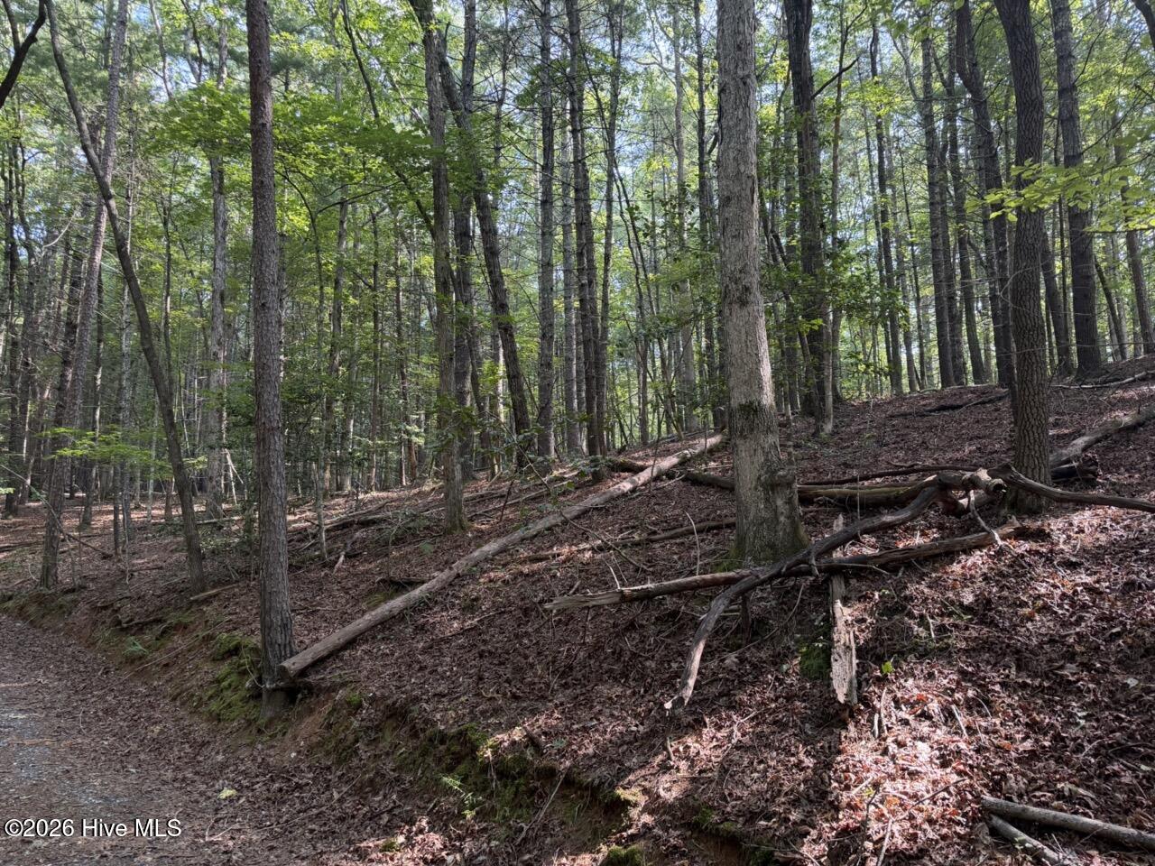 919 Panther Top Road Murphy, NC 28906 - Photo 14 of 14 Gallery Image 14