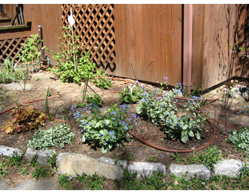 575 Station Road Amherst, MA 01002 - Photo 10 of 11 a view of a garden with a flower