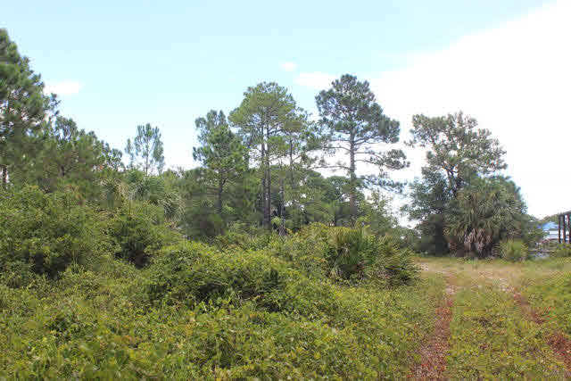 161 Highway 161 Orange Beach, AL 36561 - Photo 2 of 7