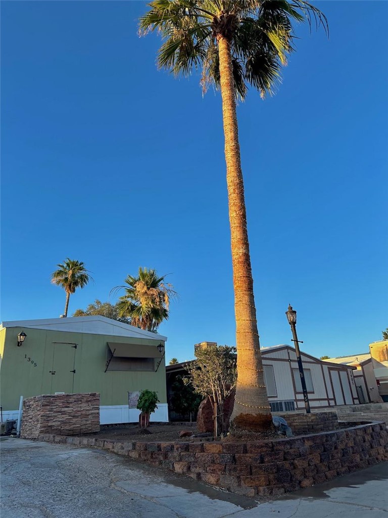 1395 Lause Road Bullhead City, AZ 86442 - Photo 32 of 34 Exterior featuring a tall palm tree, stone-look retaining walls, a light green facade, and a decorative outdoor light fixture