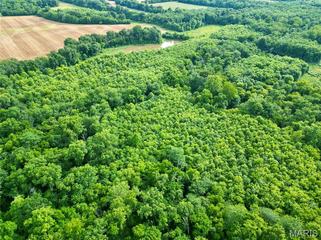 0 Church Road Salem, IL 62881 - Photo 12 of 29