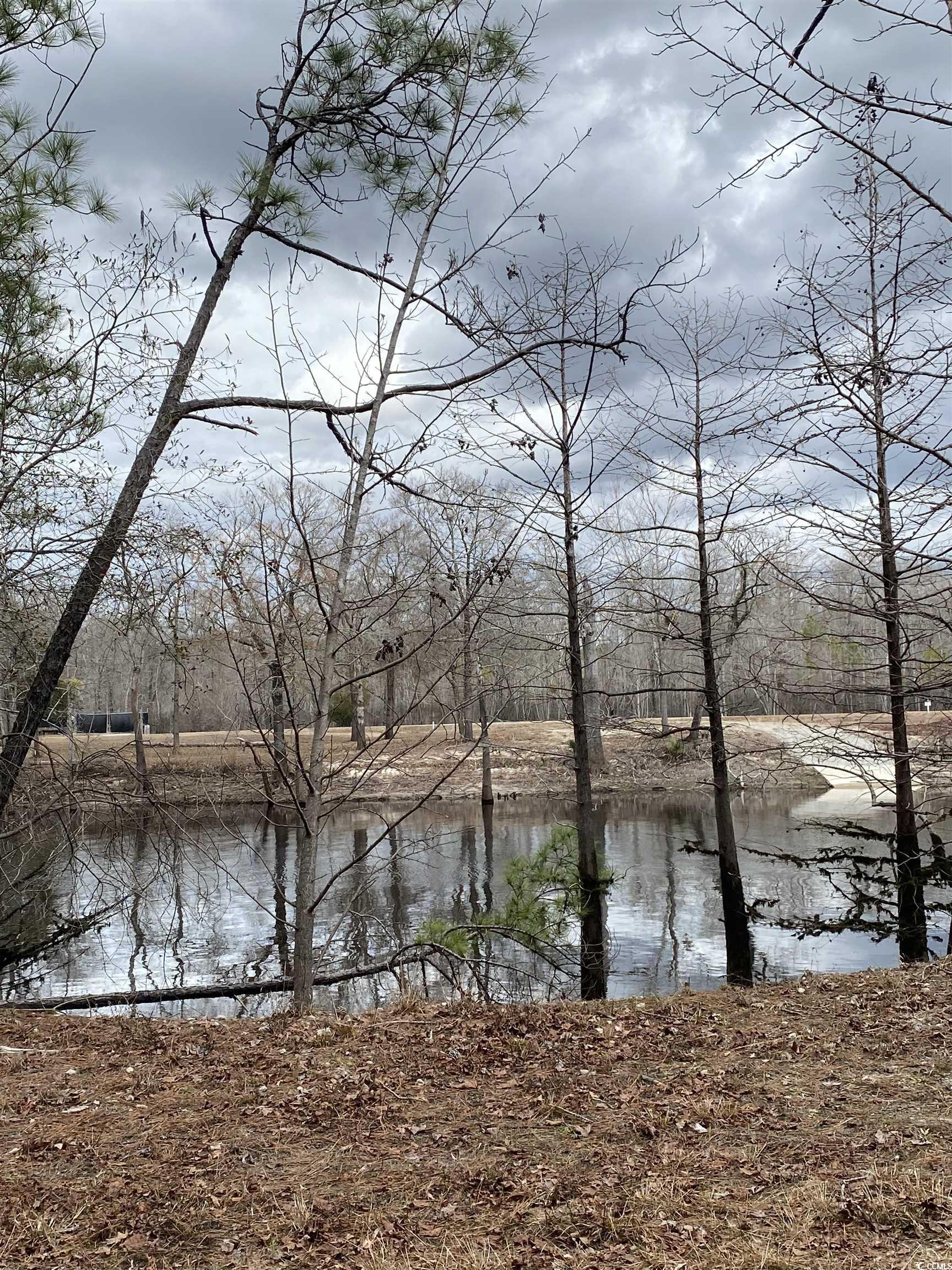 Tbd Tbd Hidden River Road Longs, SC 29568 - Photo 6 of 6 Water view