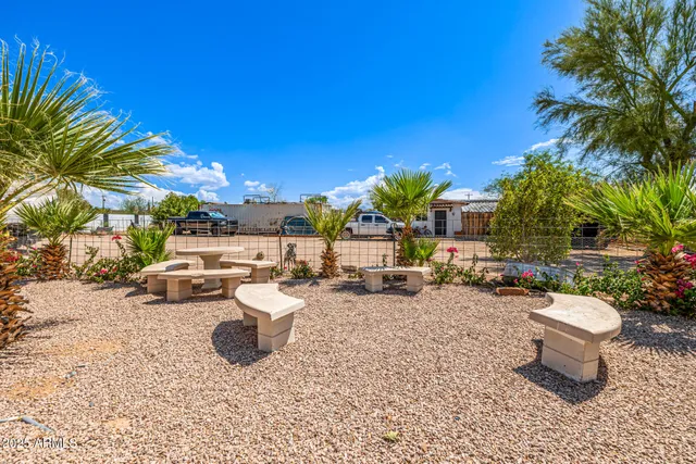 a view of a park with palm trees