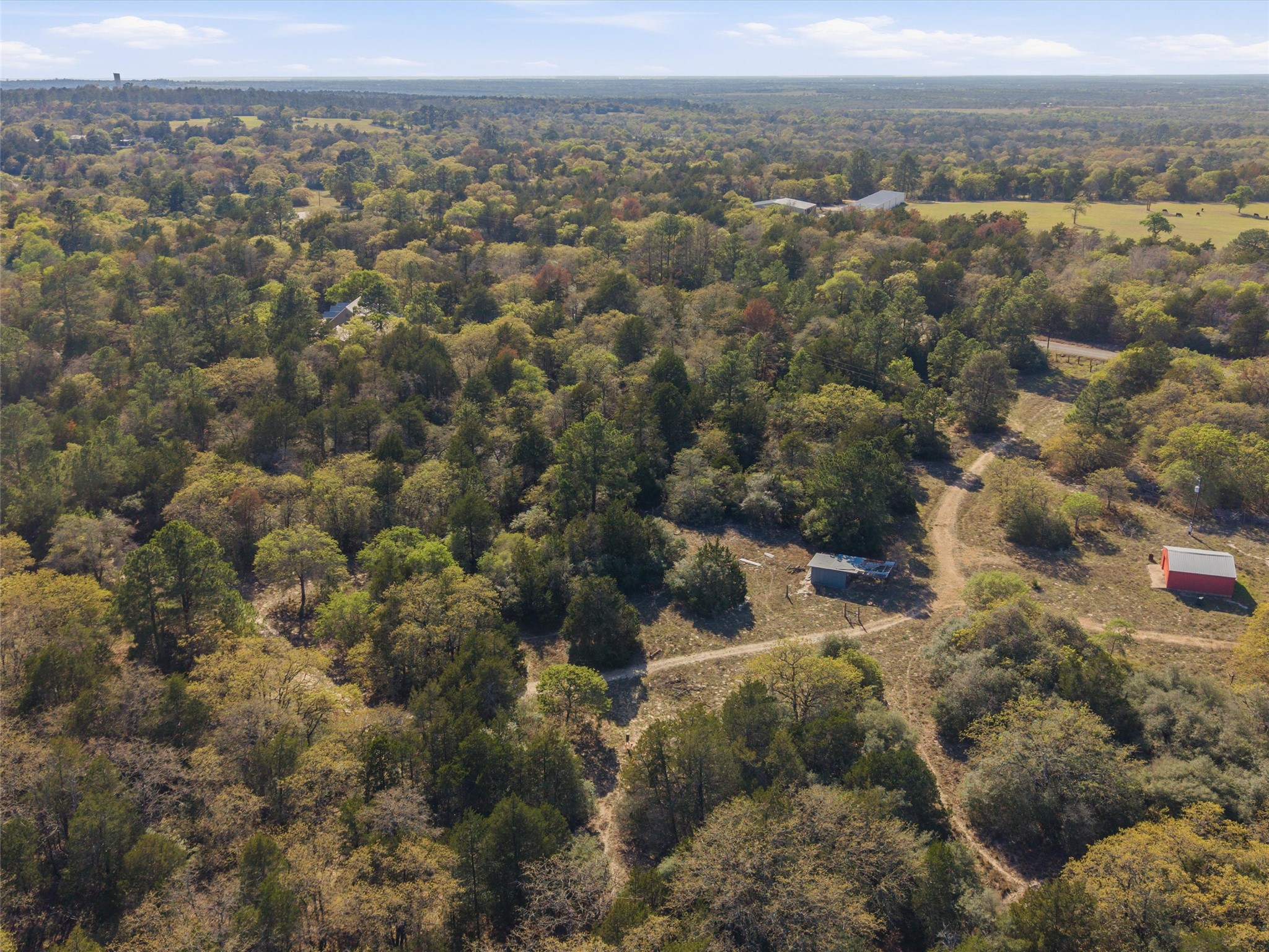 321 Red Rock Ranch Road Red Rock, TX 78662 - Photo 39 of 39