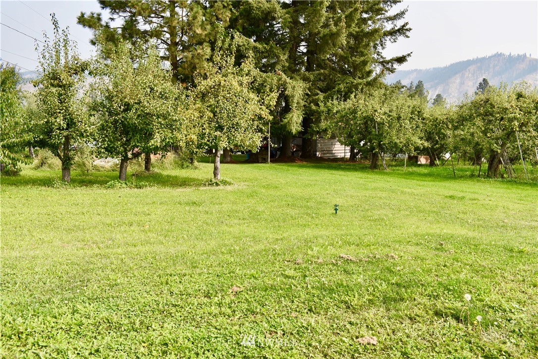 8098 Green Road Peshastin, WA 98847 - Photo 4 of 9 Gallery Image 4