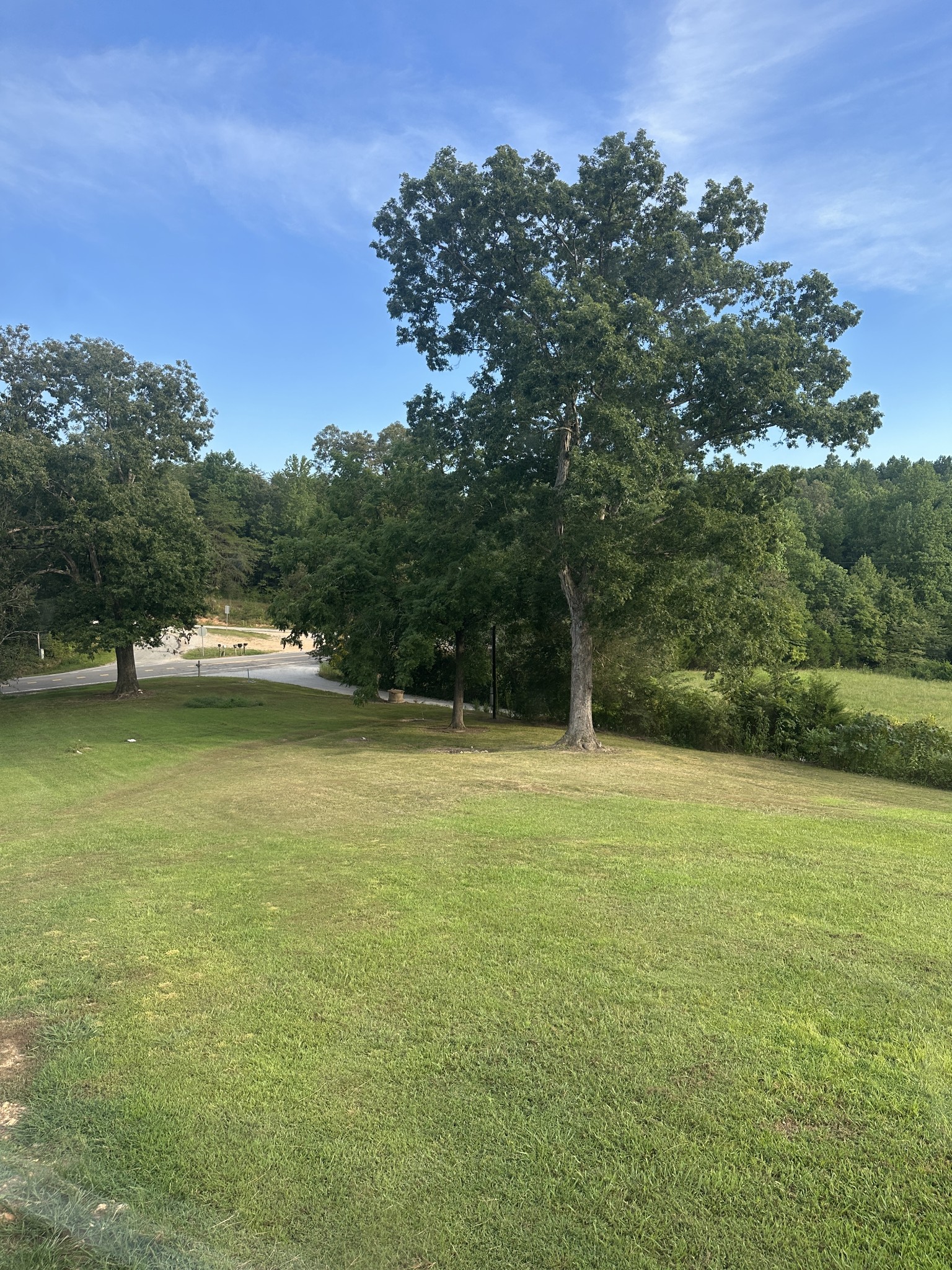 104 Limo View Lane Hohenwald, TN 38462 - Photo 37 of 67 a view of outdoor space and yard
