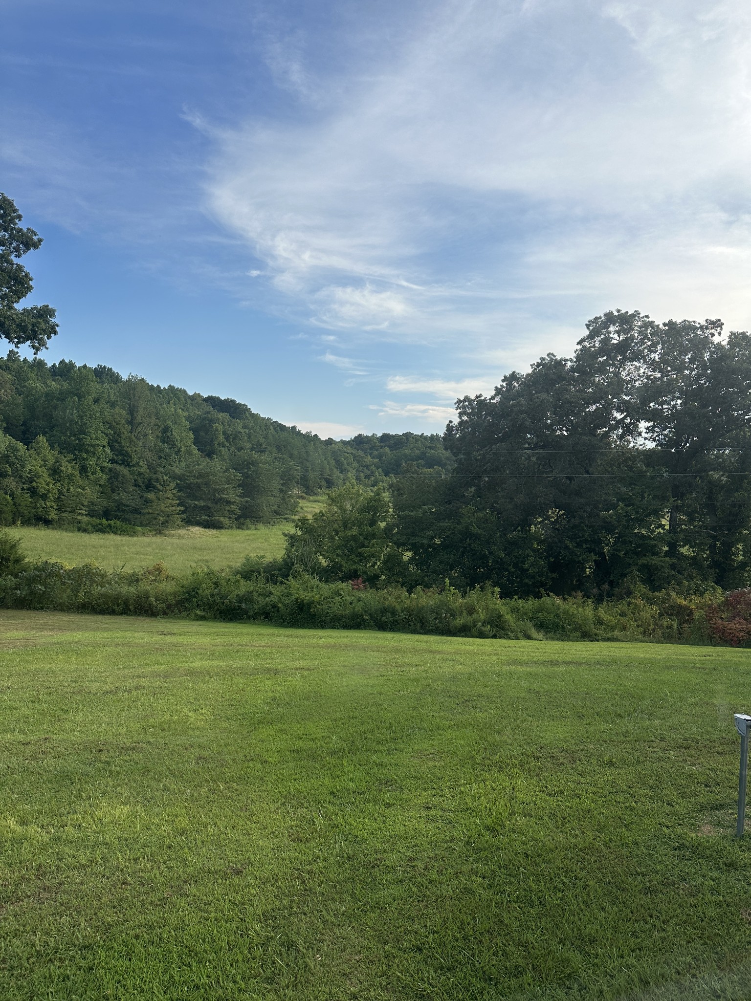 104 Limo View Lane Hohenwald, TN 38462 - Photo 38 of 67 a view of a field with an trees in the background