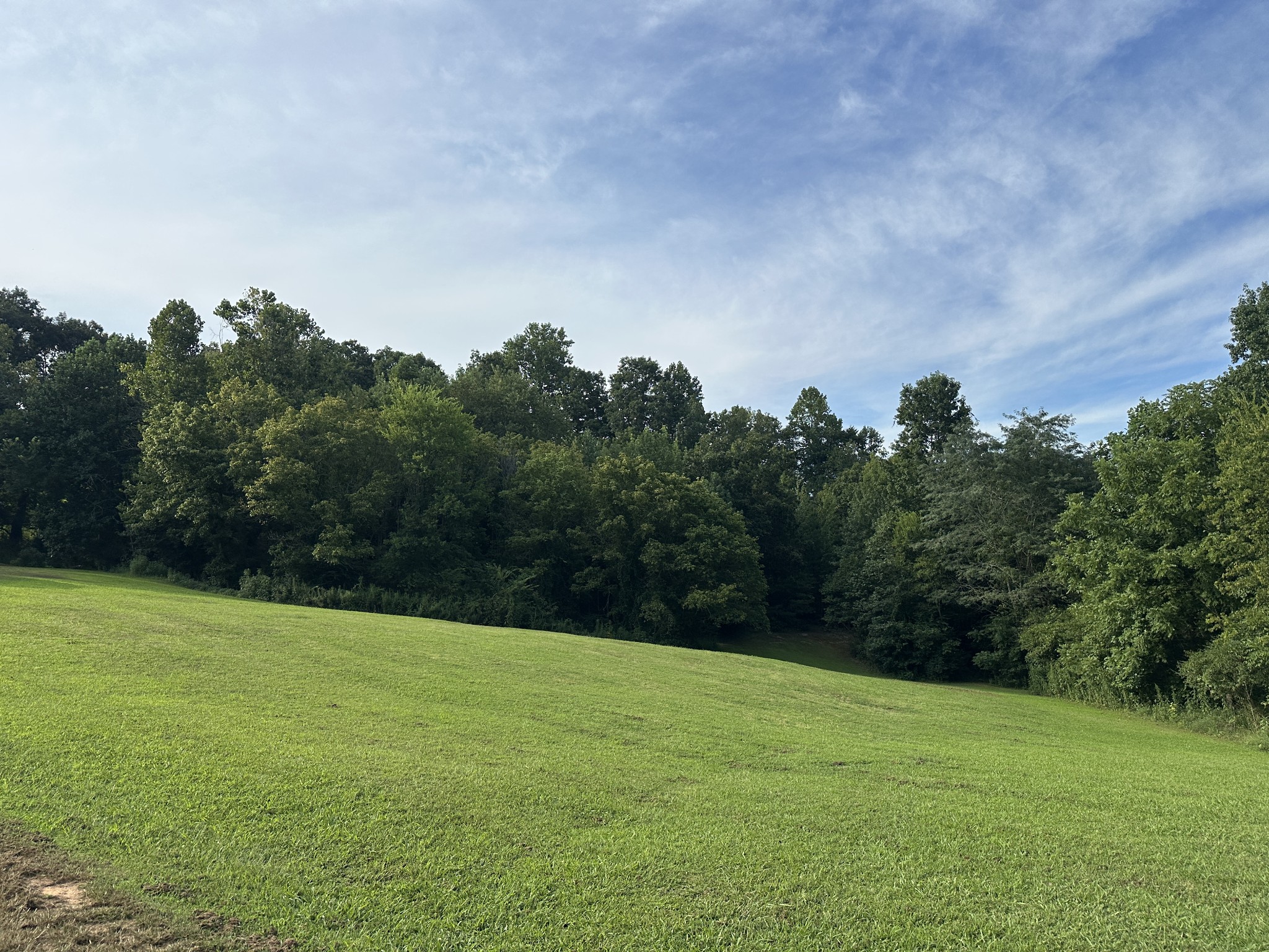 104 Limo View Lane Hohenwald, TN 38462 - Photo 39 of 67 a view of a field of grass and trees