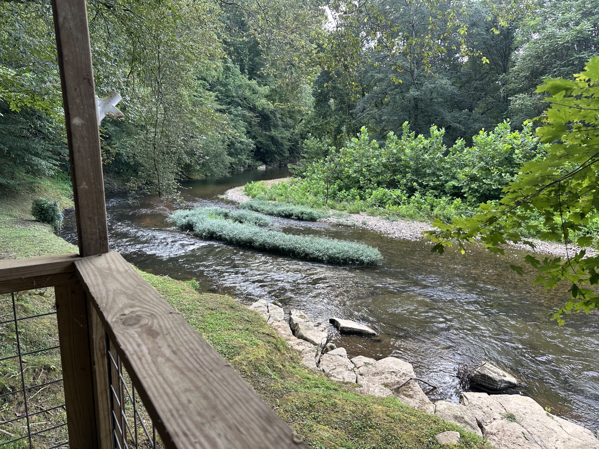 104 Limo View Lane Hohenwald, TN 38462 - Photo 52 of 67 a view of a pathway with a yard