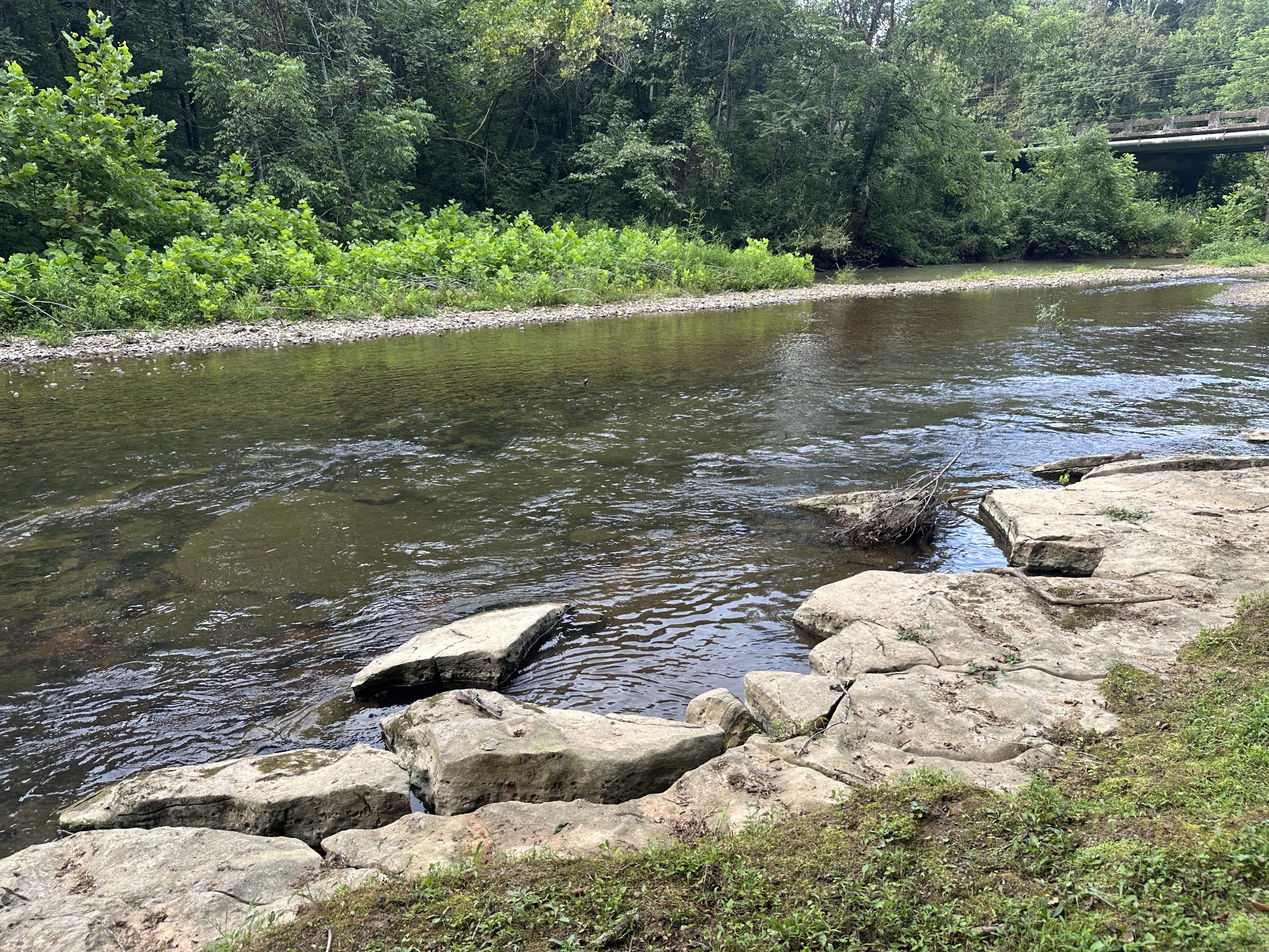 104 Limo View Lane Hohenwald, TN 38462 - Photo 61 of 67