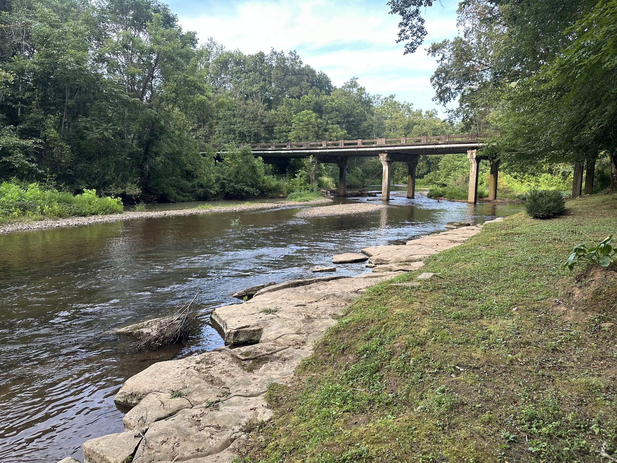 104 Limo View Lane Hohenwald, TN 38462 - Photo 62 of 67 a view of a back yard with a lake view