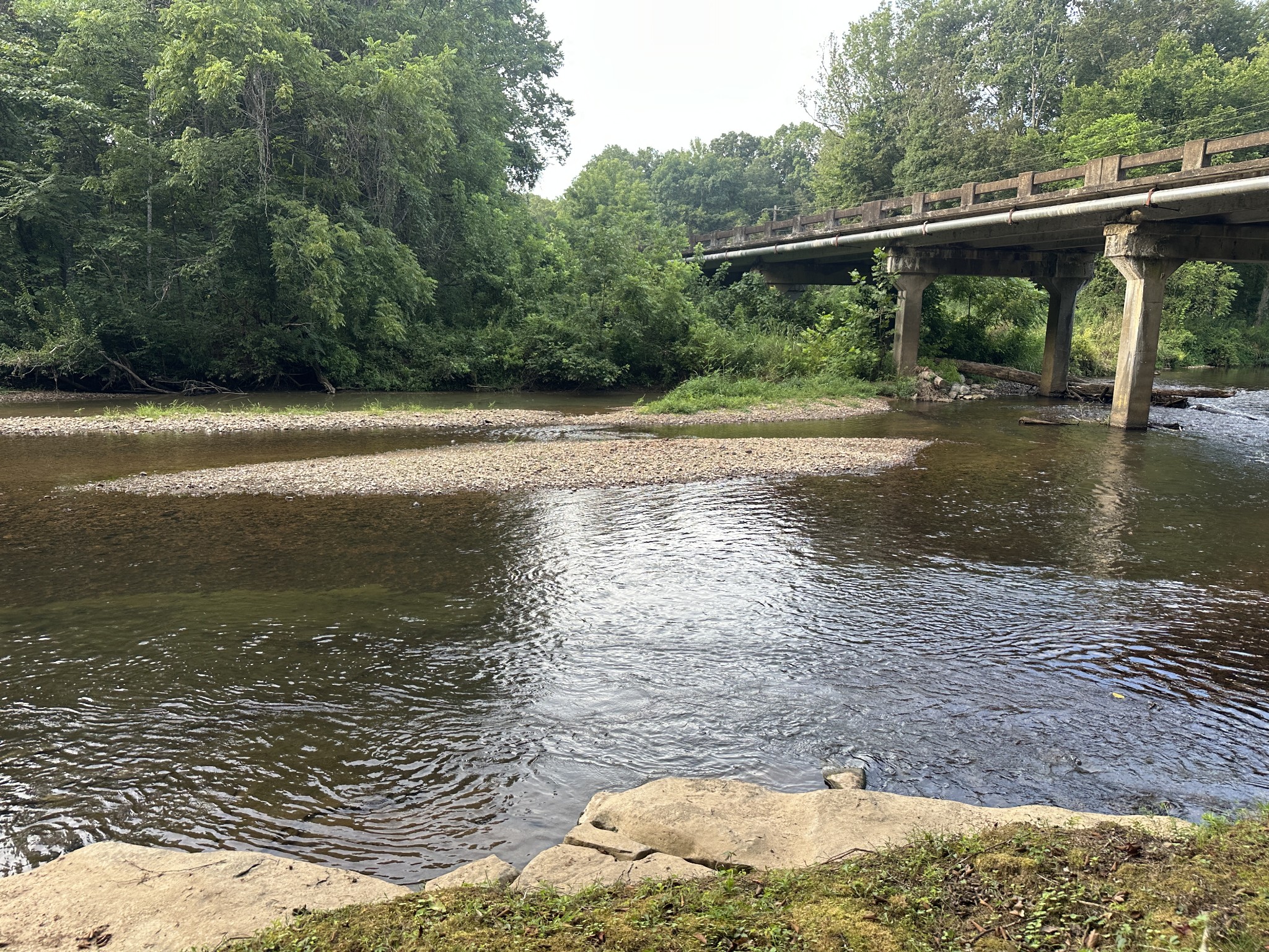 104 Limo View Lane Hohenwald, TN 38462 - Photo 64 of 67 a view of a swimming pool with a patio