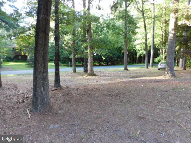 31989 Downing Road Delmar, MD 21875 - Photo 12 of 25 Large Fenced In Back yard