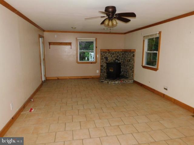 31989 Downing Road Delmar, MD 21875 - Photo 14 of 25 Family Room with Pellet Stove