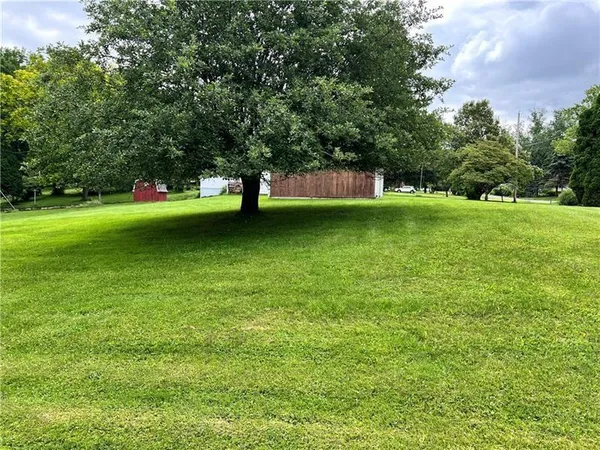 a view of a trees in a yard