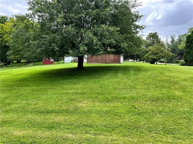 a view of a trees in a yard
