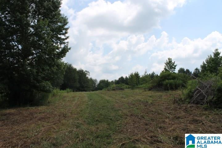 Bradford Road Lineville, AL 36266 - Photo 8 of 16