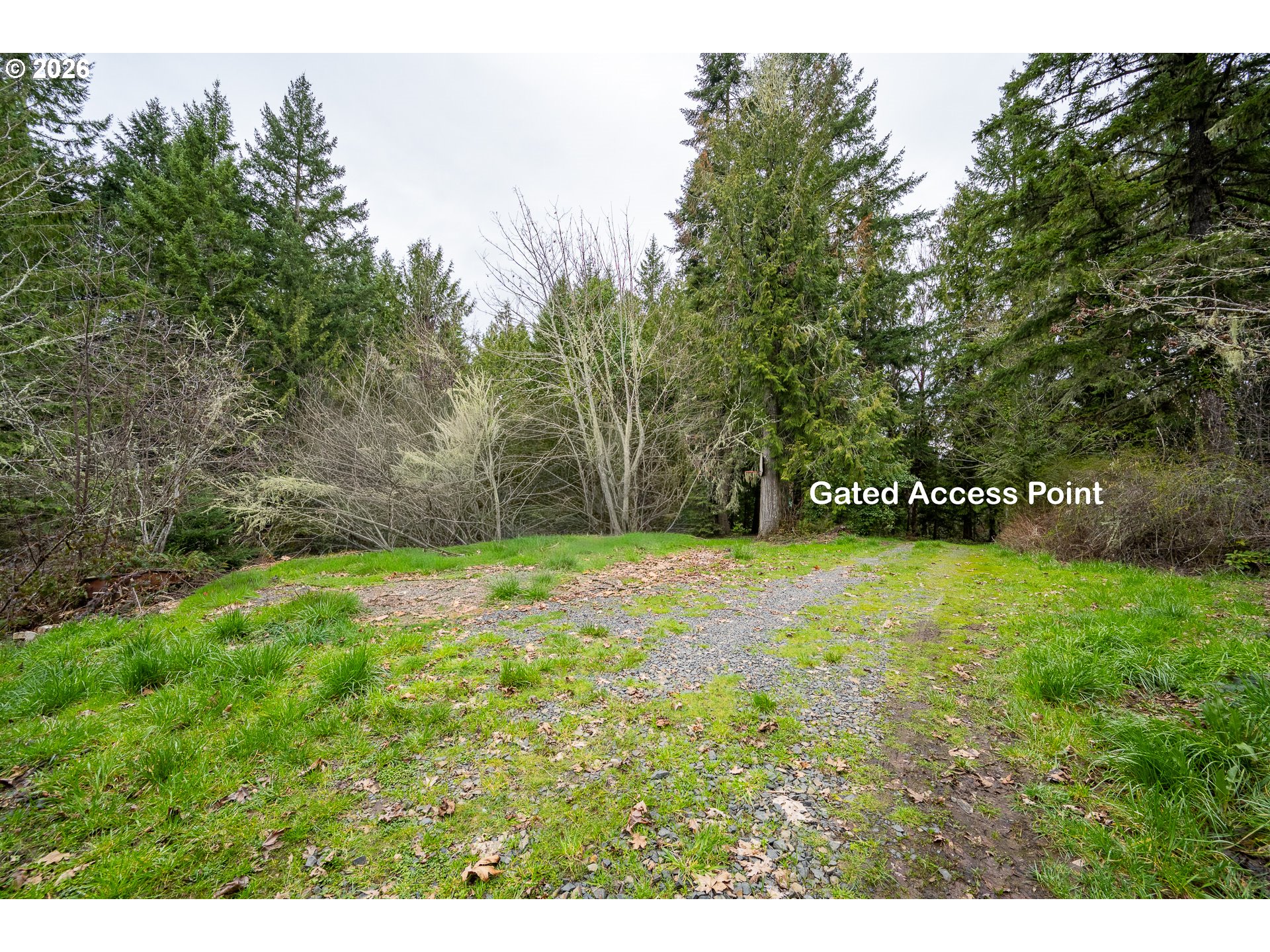 83715 Peninsula Road Fall Creek, OR 97438 - Photo 2 of 16 Property Entrance