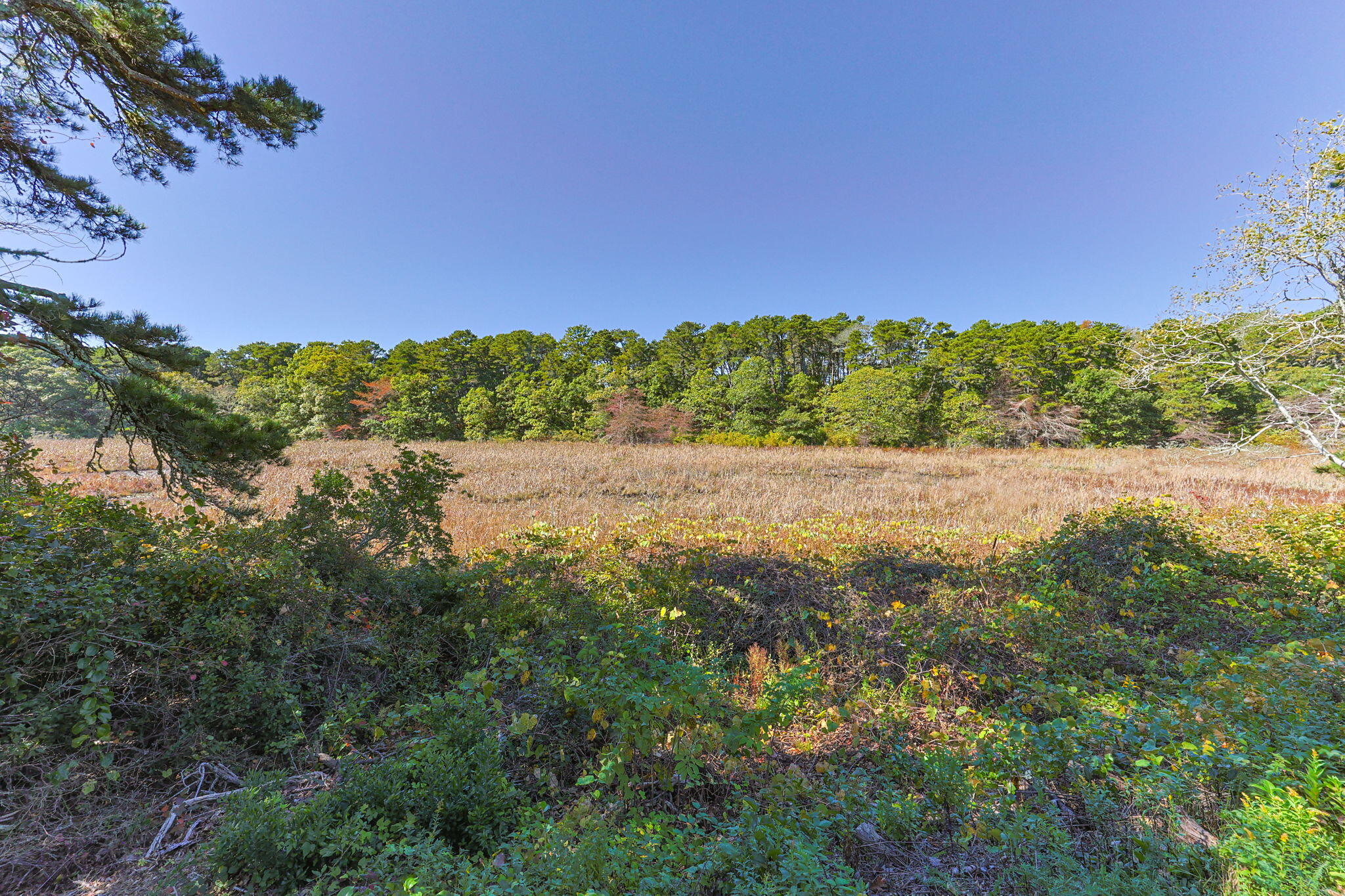 109 Misty Meadow Lane, Unit 4 Chatham, MA 02650 - Photo 21 of 30 26-web-or-mls-109-misty-meadow-ln-4
