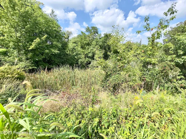 a view of a garden with a pathway